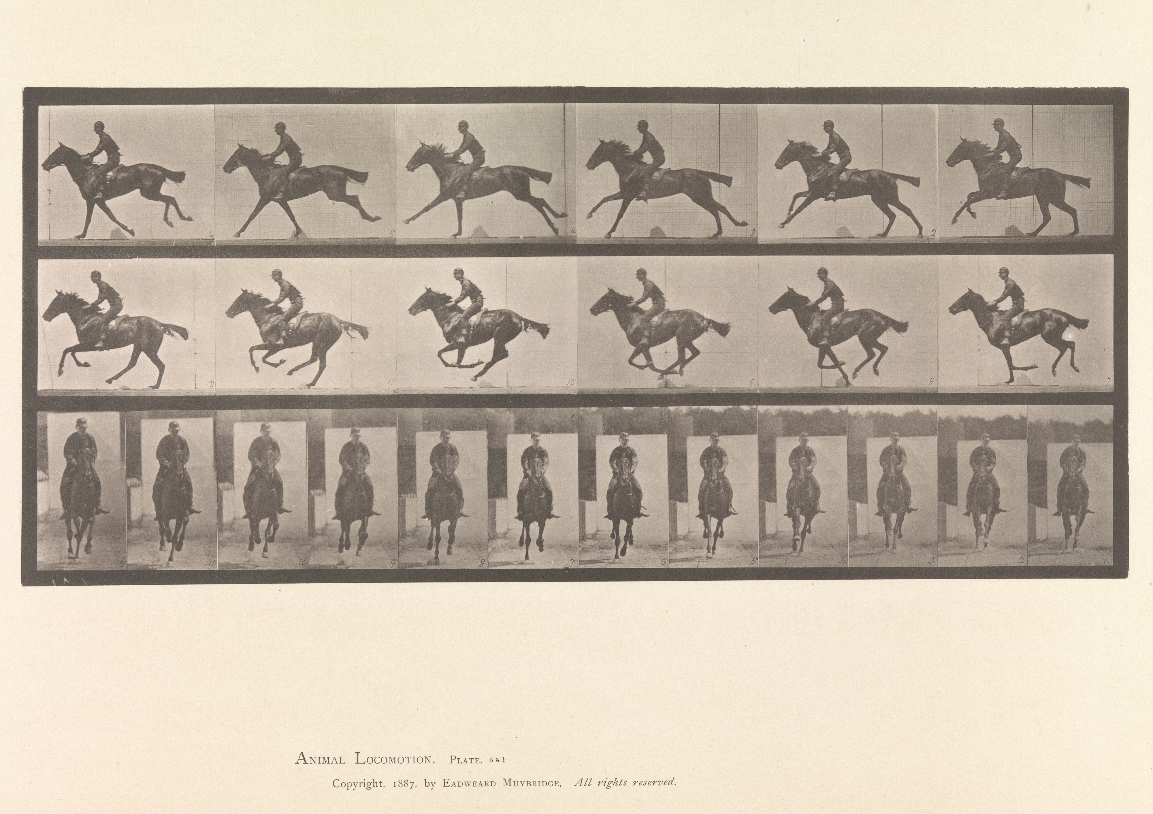 Muybridge locomotion study: motion measured frame by frame