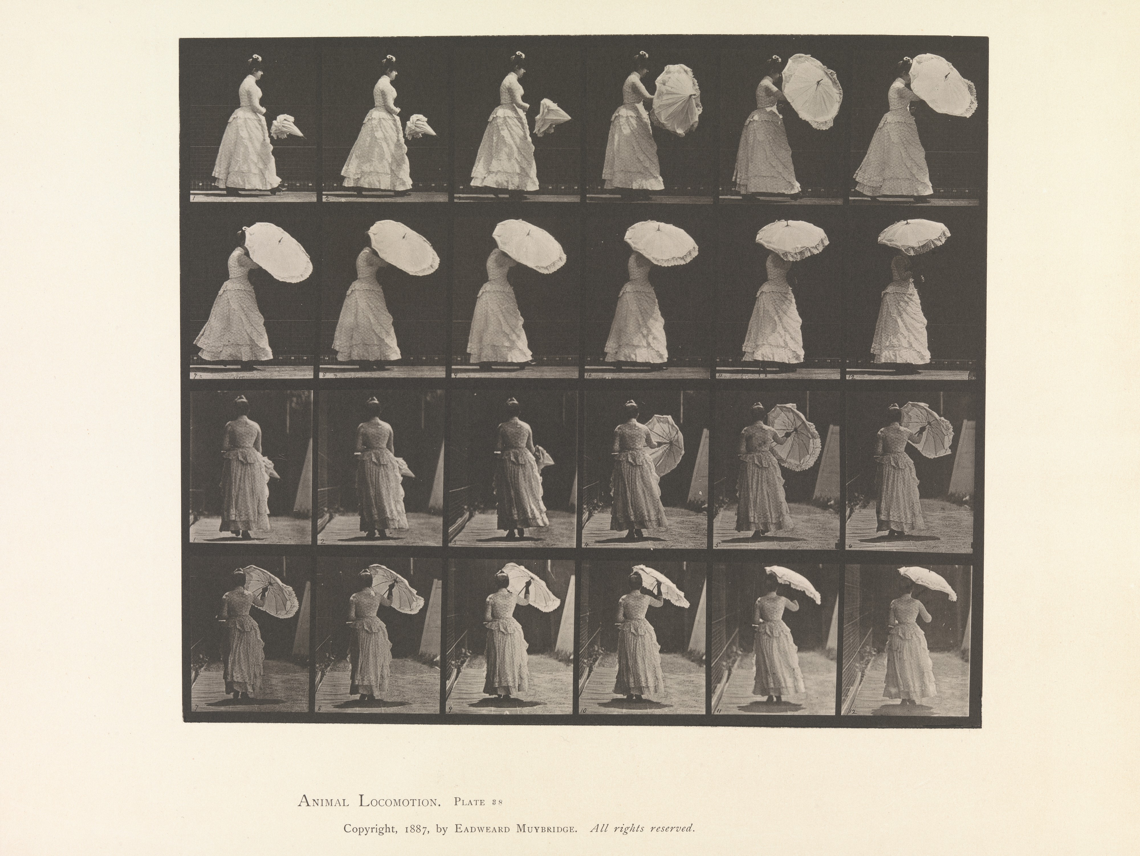 A parasol unfolding, photographed in sequence