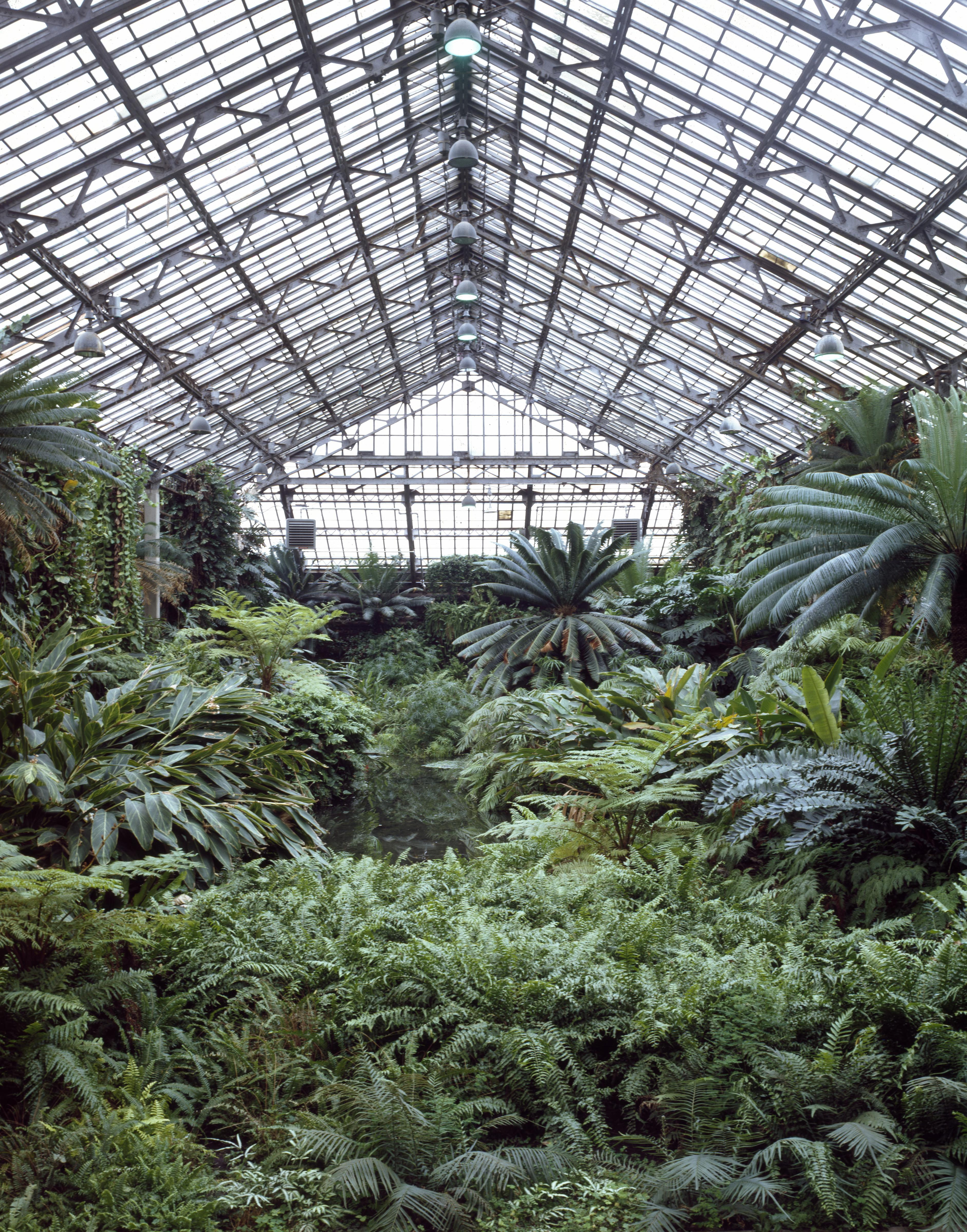 Glass house of the Garfield Park Conservatory rising over its gardens